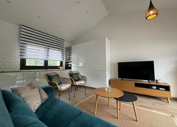 Aires De Miguez Jove